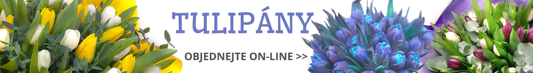 Tulipány Praha