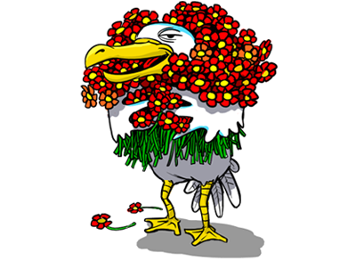 RACEK KURÝR s.r.o.