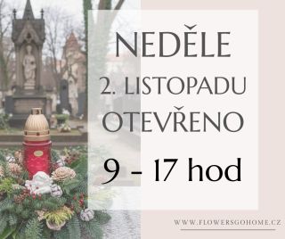 🌸 Kamenná prodejna: otevřeno i v neděli 2. listopadu! 🌸 Navštivte naše květinářství od 9 do 17 hodin a objevte kouzlo...