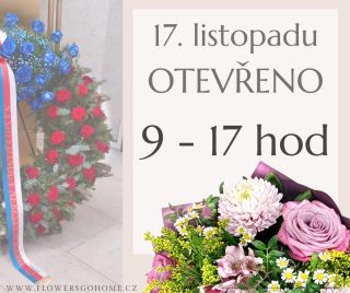🌸 17. listopadu OTEVŘENO 🌸 📅 Den boje za svobodu a demokracii máme otevřeno: 9:00 - 17:00 hod 🚚 Doručení po Praze: Nemáte...