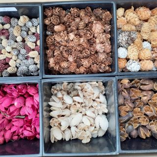 🎄 Přízdoby na adventní věnce již skladem na prodejně ! 🎄 Milí přátelé, s radostí oznamujeme, že naše prodejna je...