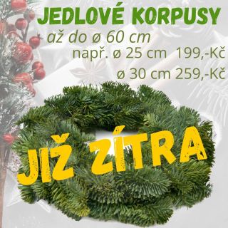 🎄🎄 Už od NEDĚLE 16. listopadu 2025 🎄🎄 na vás v naší kamenné prodejně budou čekat první čerstvé jedlové korpusy pro výrobu...