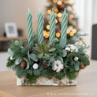 🌟 Náš adventní svícen v březovém truhlíčku spojuje jedlové větvičky, eukalyptus, bavlník, šišky a šťavnatý sukulent. Čtyři...