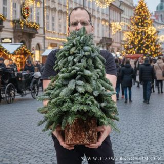 🌟🎄Ten okamžik, kdy domov provoní jehličí a ztiší se zimní večer… Malý vánoční stromeček, velká atmosféra. Přinesli jsme...