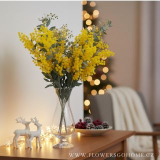 ✨ Mimosa – sluneční pohlazení uprostřed zimy ✨ Znáte tu vůni, která vás okamžitě přenese do tepla a pohody? To je ona –...