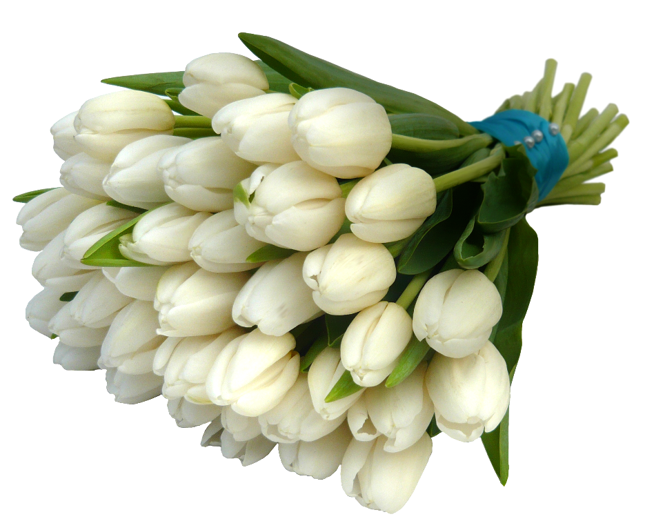 tulipány